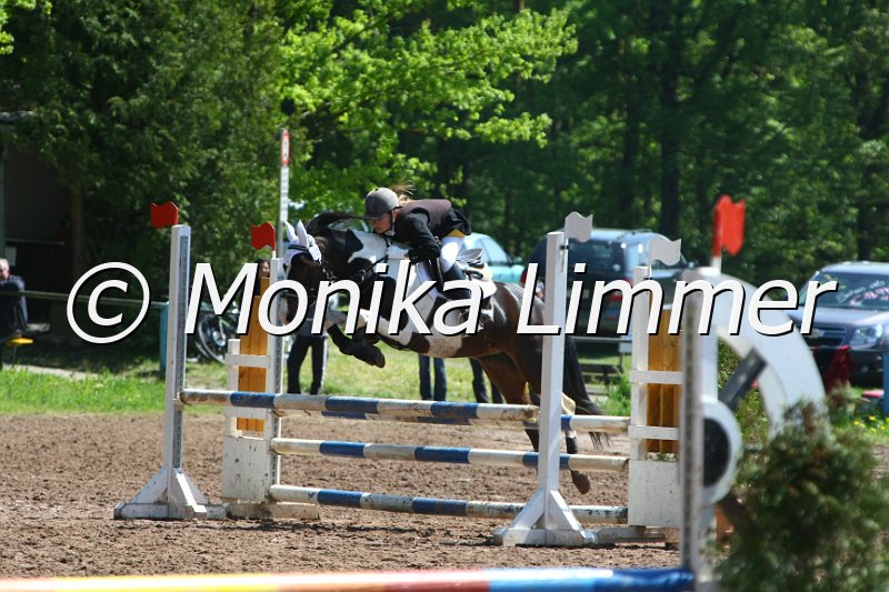 104M8215_SpringWB E.JPG